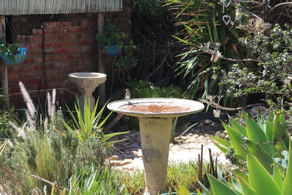 Grysbok Self Catering Accommodation Oudtshoorn Exterior photo